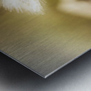 Ethereal Grass Metal print