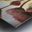 Fairy Garden Metal print