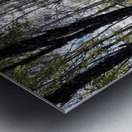 Autumnal Forest View in the Scottish Highlands Metal print