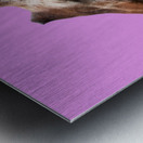 PinkGiraffe Metal print