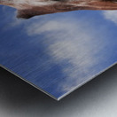 Giraffe & Sky Metal print