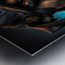 FLOPPY EARED CAP Metal print