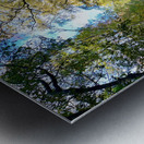 Scottish Highlands Autumn Walk Metal print