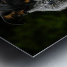 Z72 3543 Metal print