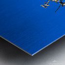 DSC 0657 Metal print