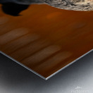 Z72 2939 Metal print