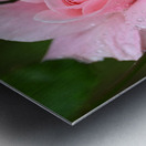 Z72 0322 Metal print