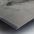 IMG 3609 Metal print