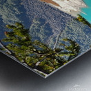 Lake Louise and Larch Trees  Metal print