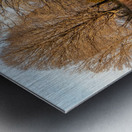 Lynchburg Old City Cemetery Wall Metal print