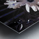 Abstract White Daises Metal print