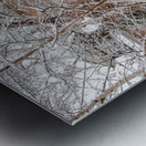 Soft Snowfall in Toronto Metal print