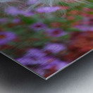 Milkweed Seeds Metal print