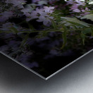 Cottage Garden in the Darkness Metal print