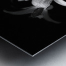 Lily Flower in the Darkness Metal print