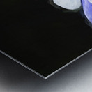 Blue Columbine Rocky Mountain National Park X 4 Metal print