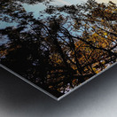 On the Perimeter Trail Metal print