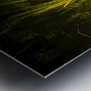 Marsh Grass Evening  Reflections Metal print