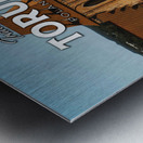 Torun Poland4 Metal print