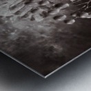 Fall Remembers Metal print