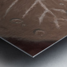 Morning Dew Metal print