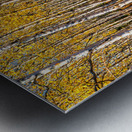 Blanche foret Metal print