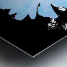 Abstract Blue Daises on a Monochrome Background Metal print