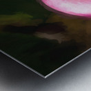 Pink Heart Calla Lilly X100 Metal print