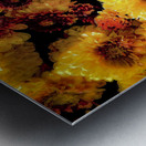 Mums the Word Chrysanthemum X101 Metal print