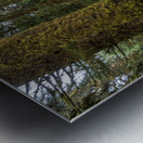 gDAV 8240 Metal print