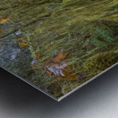 gDAV 8560 Metal print