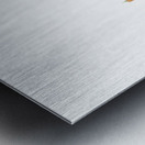 Florence Italy City Skyline Print Metal print