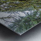 gDAV 8391 Metal print