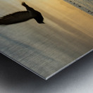 Birds and paddle boarders at the Copacabana Beach in Rio de Janeiro in Brazil at sunrise  Metal print