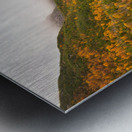 Vestige du glacier Metal print