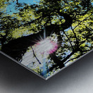 Birch Tree Canopy in Intelligent Art Metal print