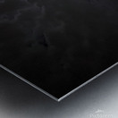 Moonlit Thunderbird Metal print