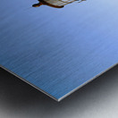 Aquinnah Gay Head Lighthouse Tower on Marthas Vineyard Island In Massachusetts Metal print