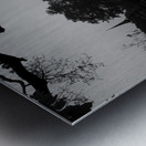 BW PRINT COLLECTION027 Metal print