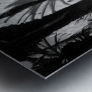BW PRINT COLLECTION039 Metal print