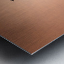 Blue Heron Silhouette and Reflection Metal print