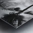 Anti-Aircraft Metal print