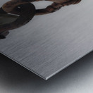 Pulley Metal print