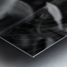 A Spider and its Web B&W Metal print