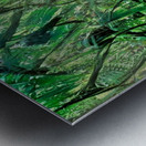 jungle green Metal print