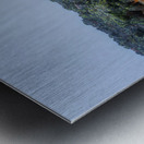 Vie au sommet Metal print