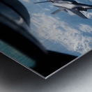 8722816 Metal print