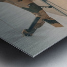 8722102 Metal print
