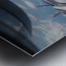 8722817 Metal print