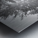 Everyday Lifes Moments- Black and White Contrast  Metal print